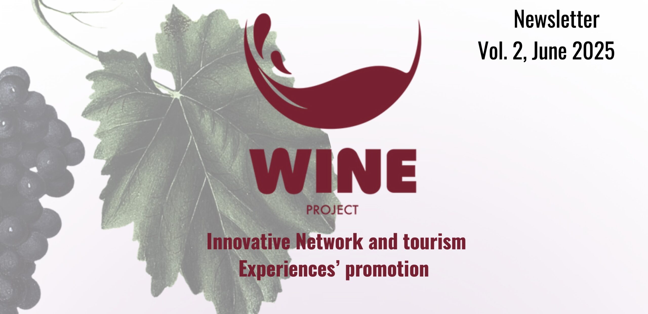 Newsletter 2 WINE Newsletter 2 WINE