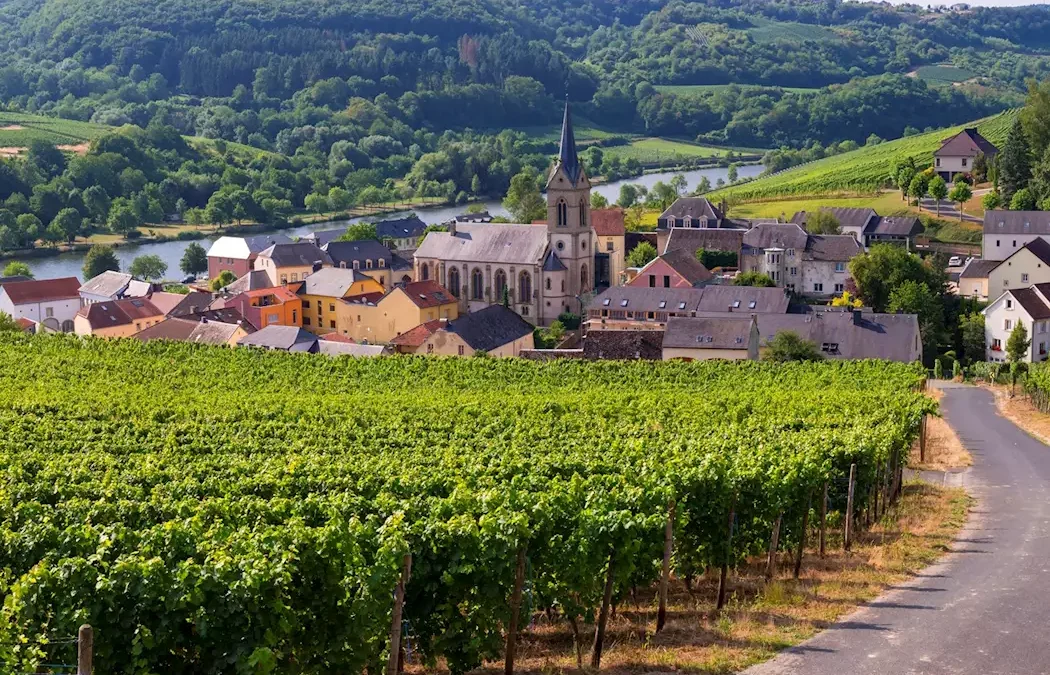 Wine in Luxembourg: A Hidden Gem at the Heart of Europe
