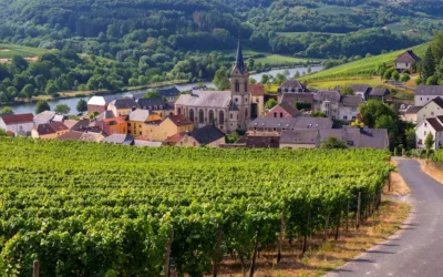 Wine in Luxembourg: A Hidden Gem at the Heart of Europe