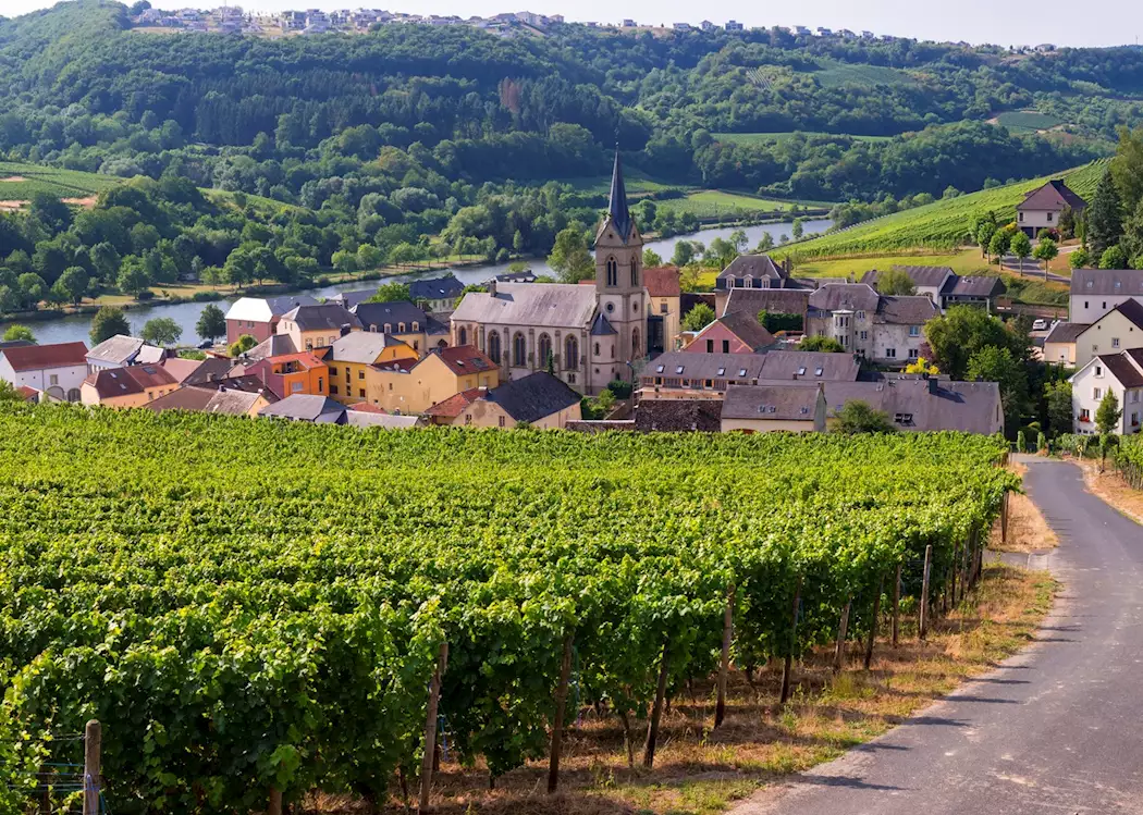 15989966-vineyards-of-moselle-valley-outside-ahn-luxembourg